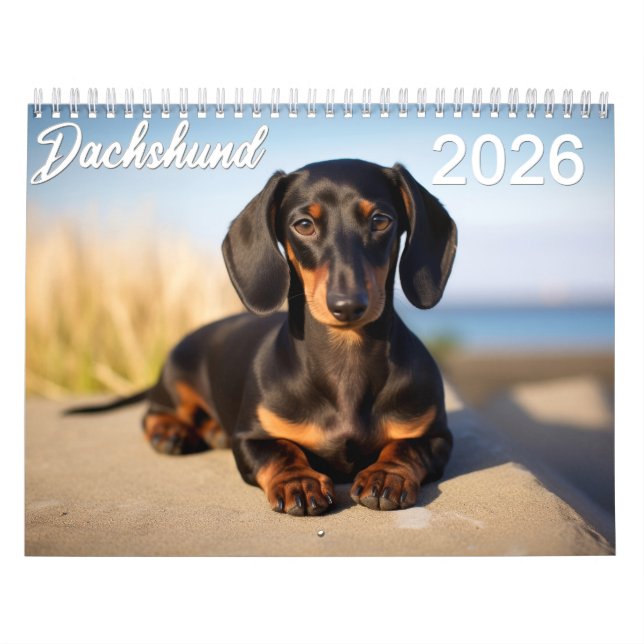 2026 Dachshund Calendar (Cover)
