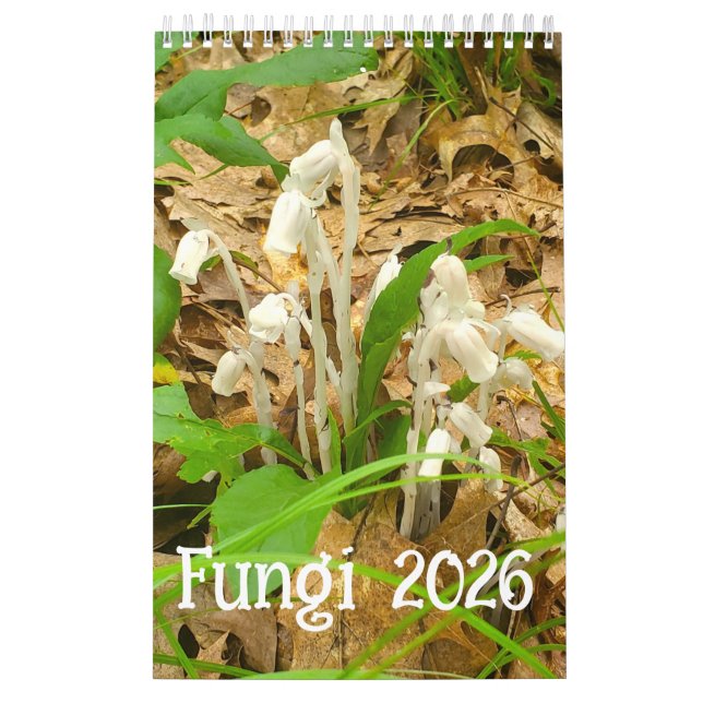 2026 Fungi Calendar (Cover)