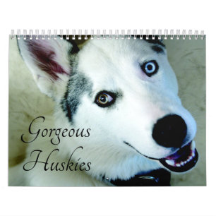 2026 Gorgeous Siberian Husky Dog Calendar