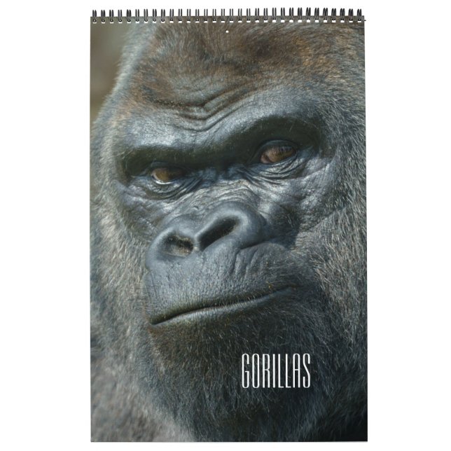 2026 Gorilla Calendar (Cover)