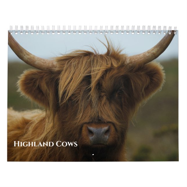 2026 Highland Cows Calendar (Cover)