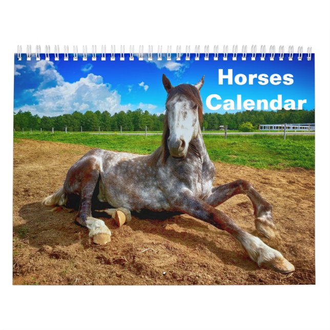 2026 Horse Calendar (Cover)