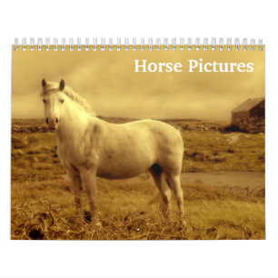 2026 Horse Pictures Images Calendar