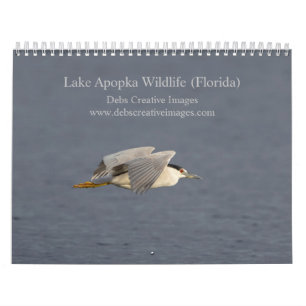 2026 Lake Apoka Wildlife in Florida Calendar