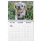 2026 Liz E.'s Pekingese Calendar
