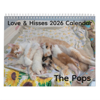 2026 Love & Hisses Calendar - the Pops