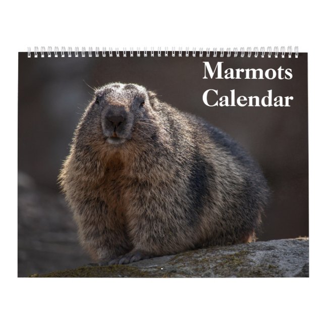 2026 Marmots Calendar (Cover)
