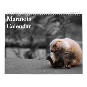 2026 Marmots Calendar