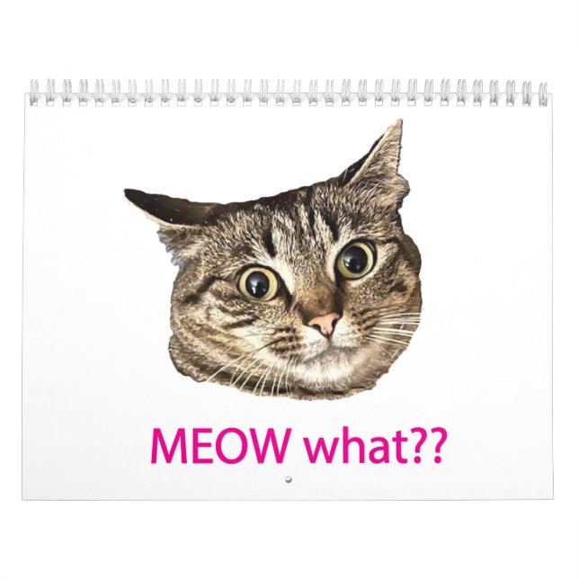 2026 MEOW what?? Calendar (Cover)