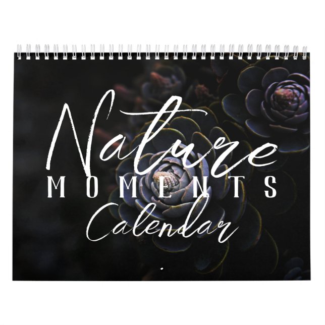 2026 Nature Moments By Meggidoo Calendar (Cover)