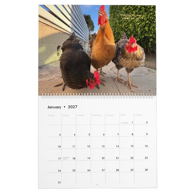 2026 Neighborhood Chicken Calendar - Large (Jan 2027)