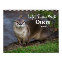 2026 Otters Up Close - Calendrier Courte-Claed