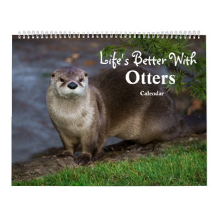 2026 Otters Up Close - Calendrier Courte-Claed