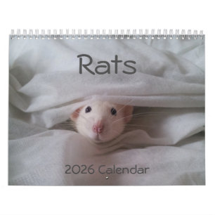 2026 Pet Rat Calendar