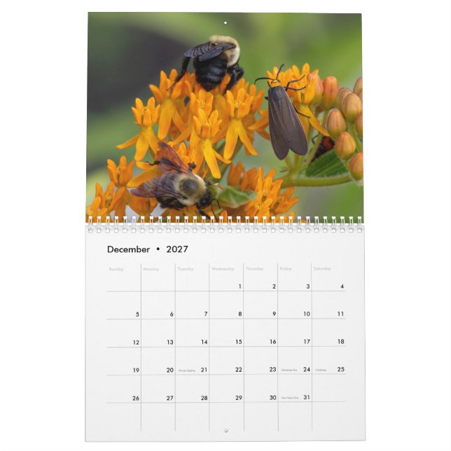 2026 Pollinator’s Perspective: A Year of Wings Calendar (Dec 2027)