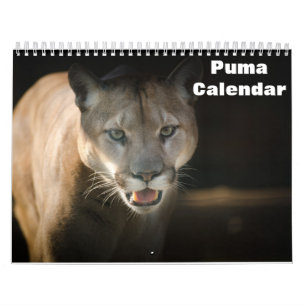 2026 Puma Calendar
