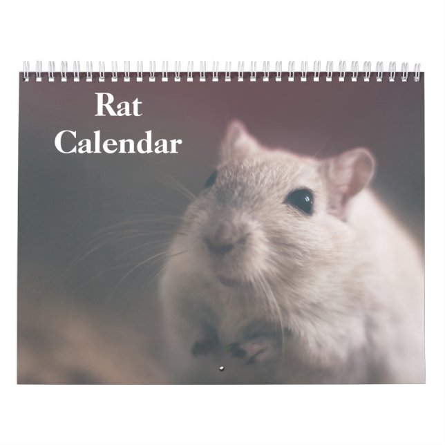 2026 Rat Calendar (Cover)