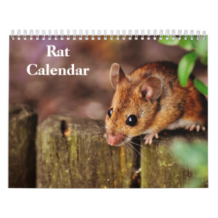 2026 Rat Calendar