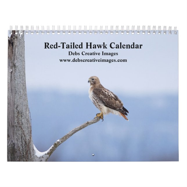 2026 Red-Tailed Hawks in the Hudson Valley Calendar (Cover)