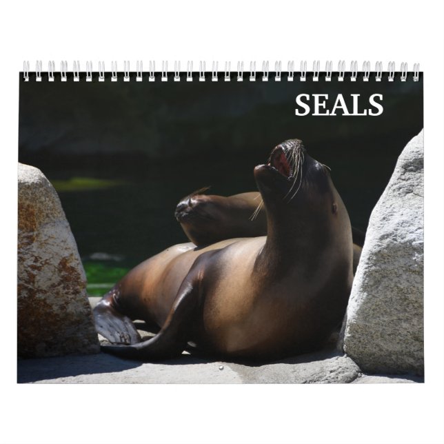 2026 Sea Lion Seals Calendar (Cover)