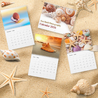 2026 Sea Shell | Coastal Shell Photography Calendar