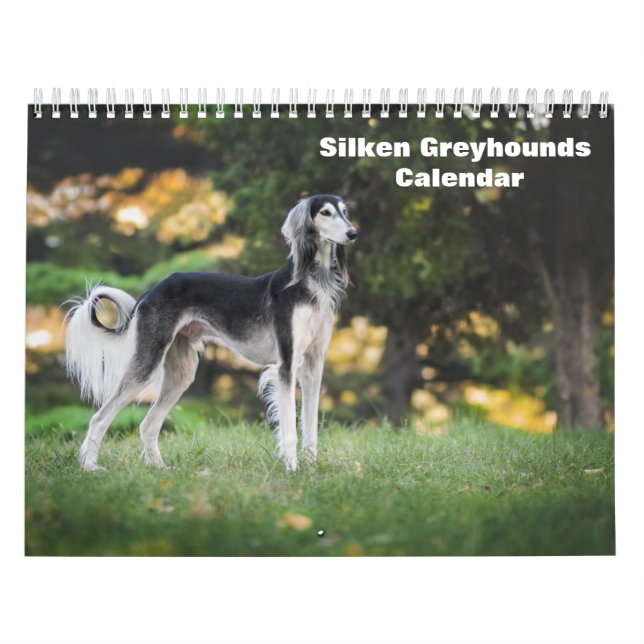 2026 Silken Greyhounds Puppies Calendar (Cover)