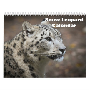2026 Snow leopard Calendar