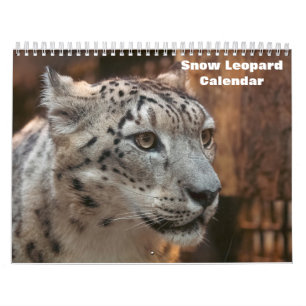 2026 Snow leopard Calendar