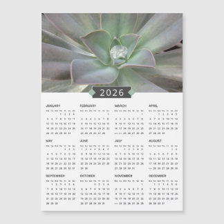 2026 Succulent Photograph Calendar Magnet