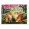 2026 Tony and Teddy Maine Coons Calendar
