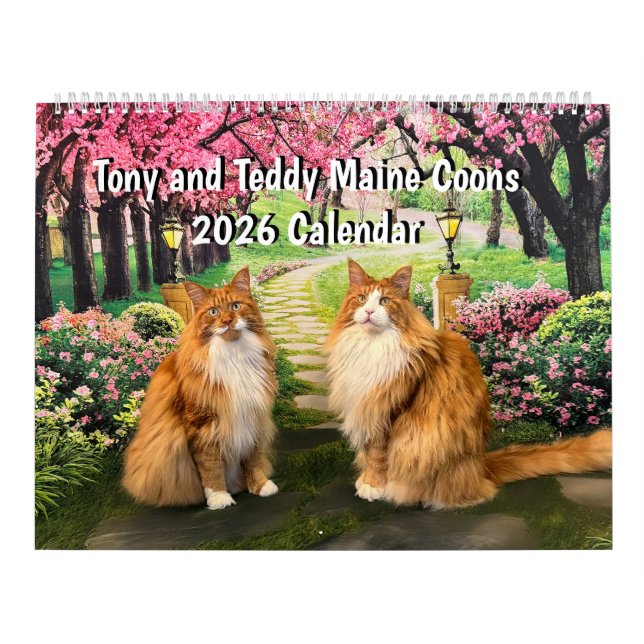2026 Tony and Teddy Maine Coons Calendar (Cover)