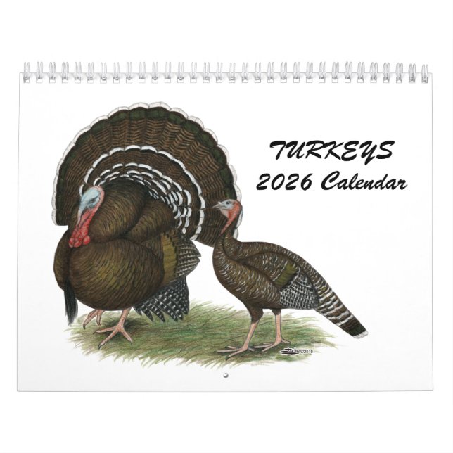 2026 Turkey Calendar (Cover)