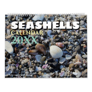 2026 Wall Seashell Calendar Beach Shells Gift