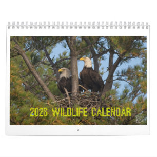 2026 Wildlife Calendar by Kevin Harris