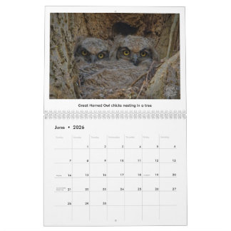 2026 Wildlife Calendar by Kevin Harris