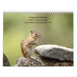 2027 Adirondack Chipmunks   Forest Wildlife Calendar