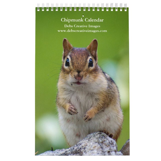 2027 Adirondack Chipmunks | Wildlife Photography Calendar (Cover)