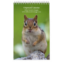 2027 Adirondack Chipmunks | Wildlife Photography