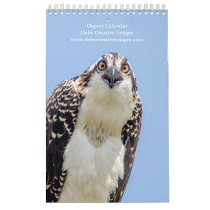 2027 Adirondack Osprey Family Wildlife Photo Calendar