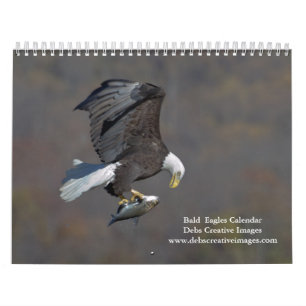 2027 Adult Bald Eagles   Wildlife Photography Calendar