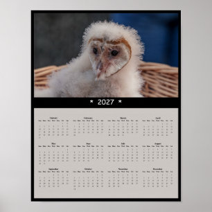 2027 Baby Barn Owl Wall Calendar - Young Owlet Poster