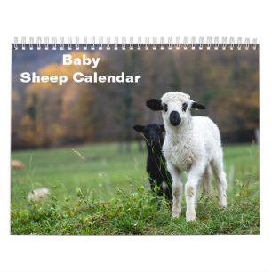 2027 Baby Sheep Lamb Calendar