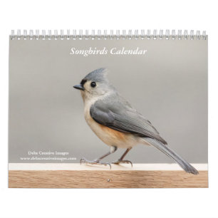 2027 Backyard Songbirds Hudson Valley & ADKs Calendar