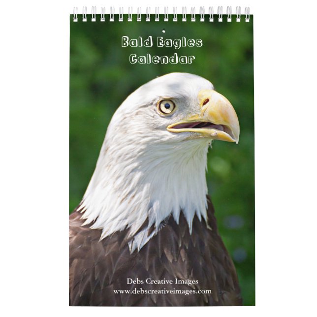 2027 Bald Eagles | Wildlife Photography Calendar (Cover)