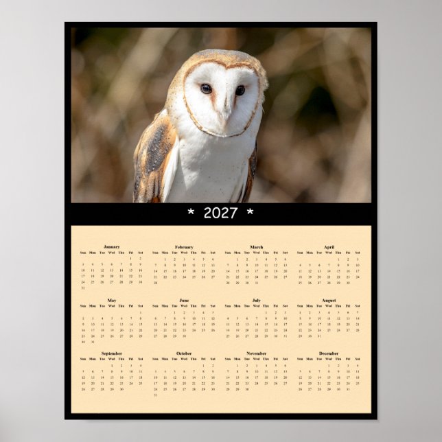 2027 Barn Owl Wall Calendar - Silent Hunter Poster (Front)
