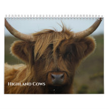 2027 Beloved Highland Cow Photo