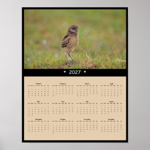 2027 Burrowing Owl Wall Calendar - Bright Spirit Poster
