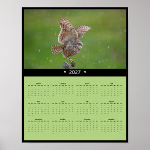 2027 Burrowing Owl Wall Calendar - Curious Watcher Poster