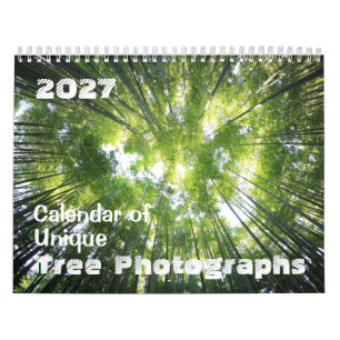 2027 Calendar of Unique Tree Photographs Customize