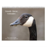 2027 Canada Geese | Family & Wildlife Photography